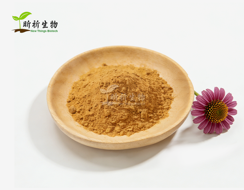 Echinacea Extract powder